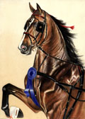 Saddlebred, Equine Art - Blue Ribbon